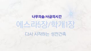 사금의 시간. 에스라 5장/학개 1장 다시 시작되는 성전건축