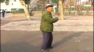 赵堡太极拳大师任志义（Zhaobao Taijiquan demonstration by Renzhiyi）