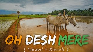 Desh Mere Lofi | Independence Day Desh Bhakti Song | Arijit Singh | O Desh Mere Slowed And Reverb