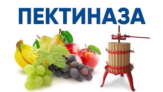 Пектиназа (Pectinase) фермент для расщепления пектина в соке