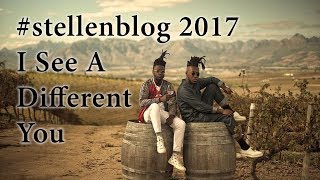 #Stellenblog 2017: I See A Different You