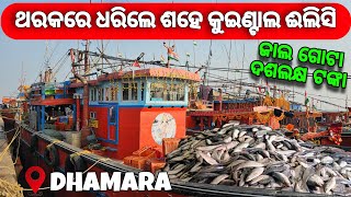 ଥରକରେ ଧରିଲେ ଶହେ କୁଇଣ୍ଟାଲ ଈଲିସି | Fishing Boat Tour | Dhamara |