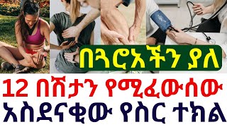 12 በሽታን የሚፈውሰው አስደናቂው የስር ተክል በጓሮአችን ያለ | #ቫይታሚንD | #drhabeshainfo