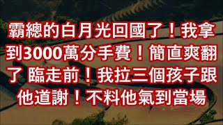 霸總的白月光回國了！我拿到3000萬分手費！簡直爽翻了 臨走前！我拉三個孩子跟他道謝！不料他氣到當場