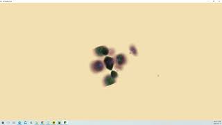 VTK Python Example - SimpleRayCast