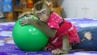 Monkey Baby Mori Love New Ball So Much She Sleep Hug So Cute