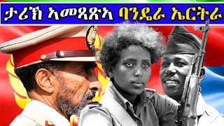 ታሪኽ ኣመጻጽኣ ባንዴራ ኤርትራ - What's the meaning of the Flag of Eritrea