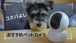 I bought a pet camera and found it unexpectedly useful [Toy Poodle and Miniature Schnauzer].