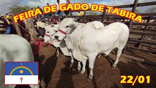 Feira de gado de Tabira-PE (22/01/25)