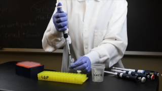 How to Use a Micropipette | SEP