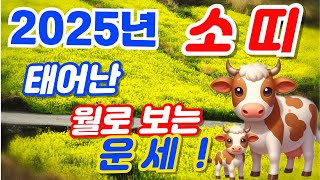 [소띠운세] 소띠 태어난 월로 보는 2025년 운세 !