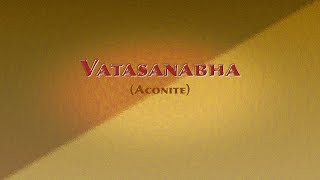 Vatsanabha (aconite), shodhana and production of churna