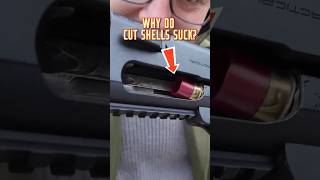 The Problem With Cut Shells!!!