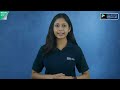 top invesco mutual funds for 2024 invesco mutual fund review explained in hindi