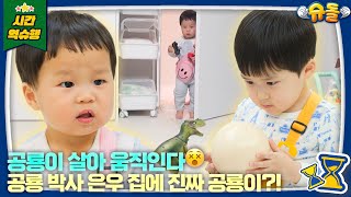 [SUB] ※3세 미만 시청 주의: 공룡 진짜 있음※ 우리 집에 안킬로사우루스가 산다 l 슈퍼맨이 돌아왔다 KBS 250101 방송