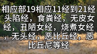 214.相应部19相应11经到21经 头陷经，食粪经，无皮女经，丑陋女经，烧煮女经，无头经，恶比丘经，恶比丘尼等经（白话佛经）解说