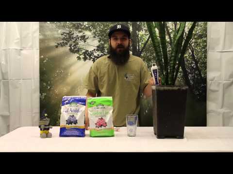 How to Test and Adjust the pH Level of a Soil Plant How to Test and Adjust the pH Level of a Soil Plant