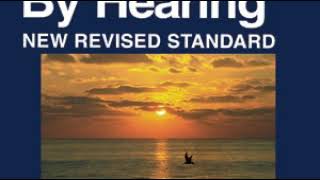 New Revised Standard Version ~ Revelation