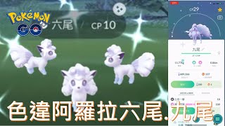 捕獲野生色違阿羅拉六尾進化色違阿羅拉九尾 pokémon go 2020/12/19