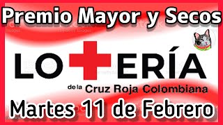 🔴 Resultado PREMIO MAYOR Y SECOS Loteria de CRUZ ROJA Martes 11 de Febrero de 2025