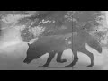 DEMONICAL - From Nothing (Lyric Video)