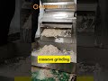 Full stainless steel cassava grinding machine cassava grinder machine for cassava garri processing