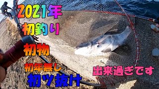 クロダイ落とし込み三河湾2021. 1 .6　Japan black sea bream fishing　2021年　初釣り　初物　初年無し