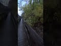 yellow leaves on a footbridge near dusk trail hiking footbridge short tennessee outdoors