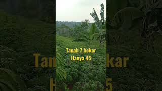 dijual tanah 7 hektar harga 45 ribu/meter wa.081910069100