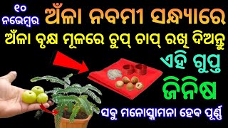 anla nabami 2024 | ଅଁଳା ନବମୀ ସନ୍ଧ୍ୟାରେ ଅଁଳା ବୃକ୍ଷ ତଳେ ରଖି ଦିଅନ୍ତୁ ଏହି ଗୁପ୍ତ ଜିନିଷ | Anla nabami upay