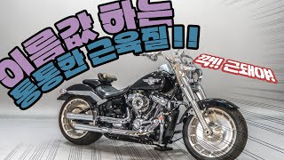 (판매완료)#할리데이비슨 팻보이114 판매합니다. 할리감성은 역시 이거죠!!