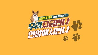 [동물보호계열]  실습장 체험 영상