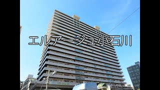 エルアージュ小石川B20階（64.71㎡）2LDK／文京トラスティ