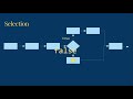 Making Decisions in Java