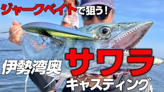 ジャークベイトで伊勢湾サワラキャスティング