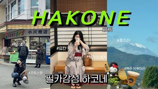 도쿄 근교 소도시 하코네 1박2일 vlog / 접근성 좋은 온천 료칸 스이메이소 / 꼭 가야할 맛집, 온천수로 만든 맥주 고라 브루어리 / 오와쿠다니 / 하코네프리패스 +구글맵공유