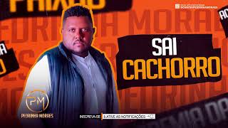 SAI CACHORRO - PEDRINHA MORAES