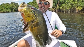 Giant Peacock Bass Crushes Spinnerbait | Fishing Amazon River pt.7