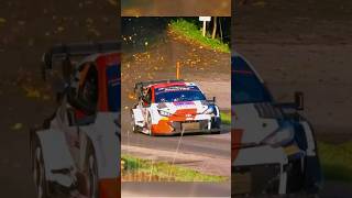 RALLY WRC 3 2024 Crazy moments