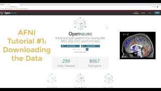 AFNI Tutorial #1: Downloading the Data