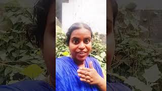 #tamilshorts #funny_chicken #husbandwifetamilcomedy