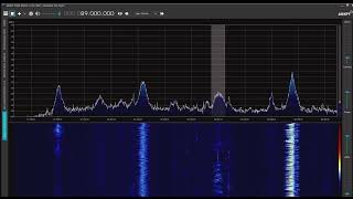 杭州人民広播電台綜合広播　89.0MHz　2022/07/05　0800 JST