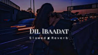 Dil Ibaadat - [Slowed+Reverb] Lofi - kk || Pritam || Emraan Hashmi || Tum Mile || Lofi Soft Music