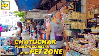 CHATUCHAK WEEKEND MARKET \u0026 MIXT PET ZONE! ReOPEN SEP 2021!