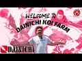 DIAJAK LANGSUNG MELIHAT POTENSIAL KOI DI DAINICHI KOI FARM!