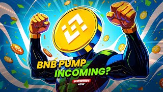 Binance Coin (BNB) Price Breakout? Can Binance Coin Hit $700+ Soon?