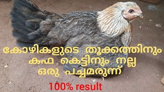 kozhikalude thookam kafakkettu mattan nalla pachamarunnu 100% result