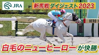 【新馬戦ダイジェスト】アマンテビアンコ・ ボルケーノほか｜6月17日～18日（東京・阪神・函館） | JRA公式