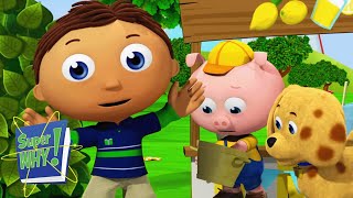 The Banana Mystery | Super Why - WildBrain | Movies for Kids