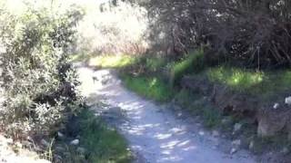 video9.mov: Tapia Canyon - double single track